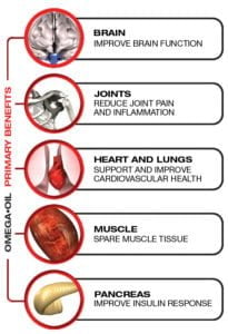 Omega 3 benefits