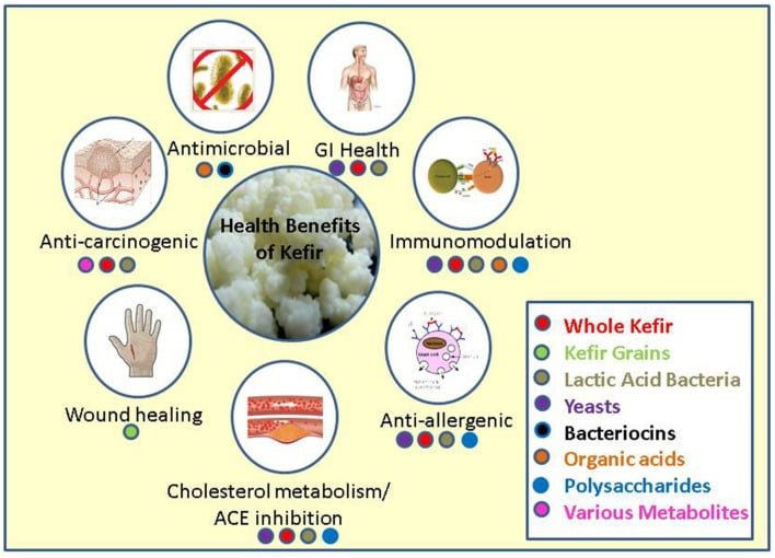 How to make kefir and why Warrior body and mind